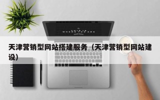 柳州天津营销型网站搭建服务（天津营销型网站建设）